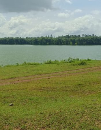 whatsapp image 2025 09 17 at 14.32.46 465d3316